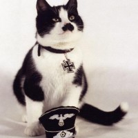 hitler_reincarnated