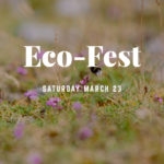 Come to the Flushing Eco-Fest