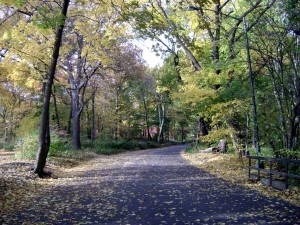 Central Park 102 St. Transverse.untouched