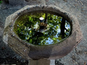 water fountain 1