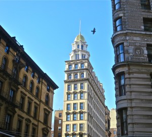 Flatiron view 22 St with bird and cupola IMG_8929x