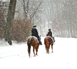 Prospect Park Mom Daughter Horses in Snow FULL